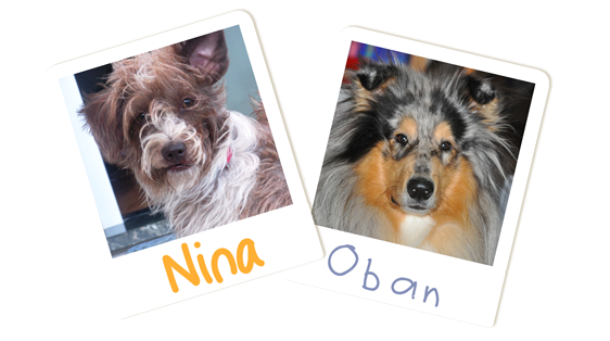 I tester di DogDeliver: Nina e Oban si presentano