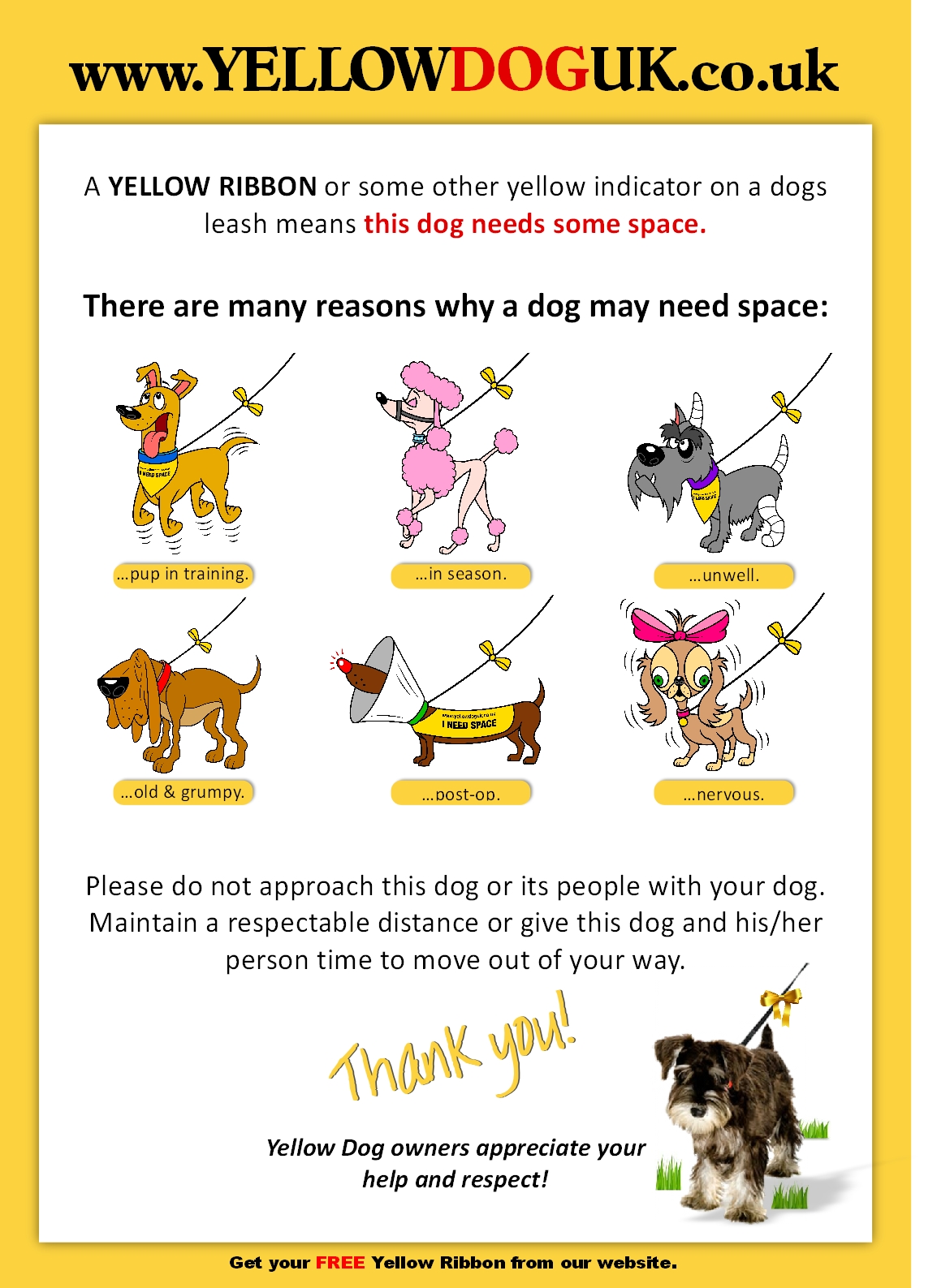 Il progetto Yellow Dog