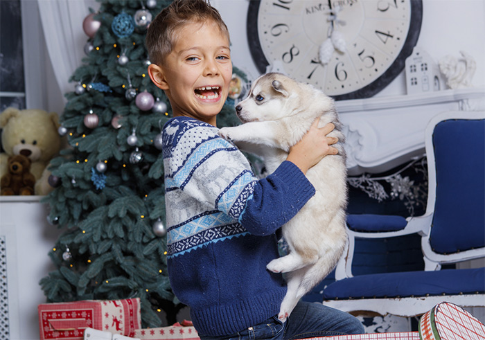 Un cane non è una cosa: non regalarlo a Natale