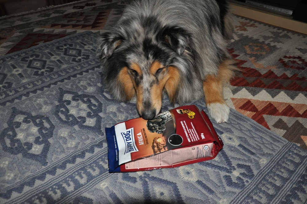 I test di Nina e Oban: croccantini Africa di Happy Dog