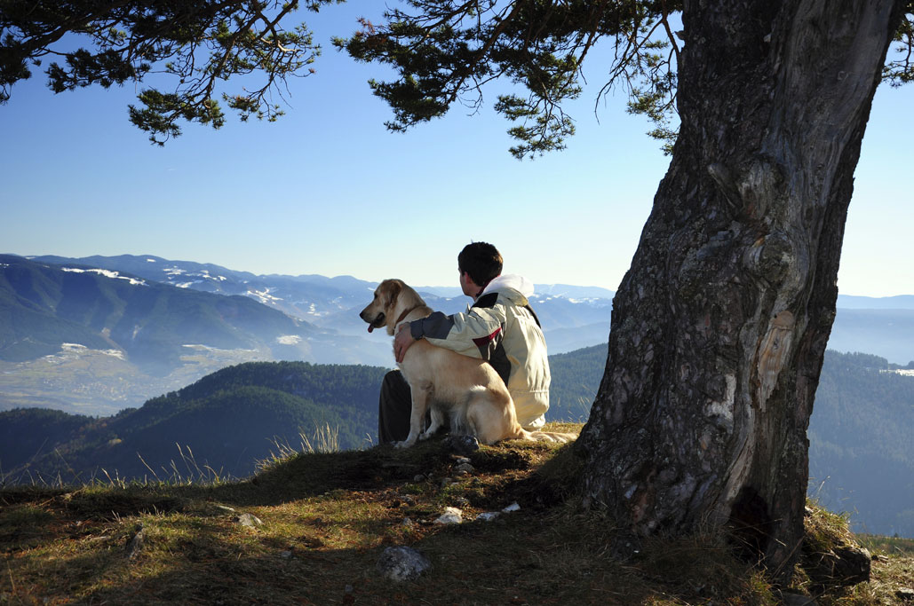 8 cose che è bellissimo fare con il cane