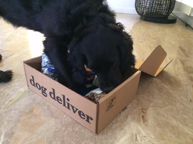 La Dogdeliver box di luglio!