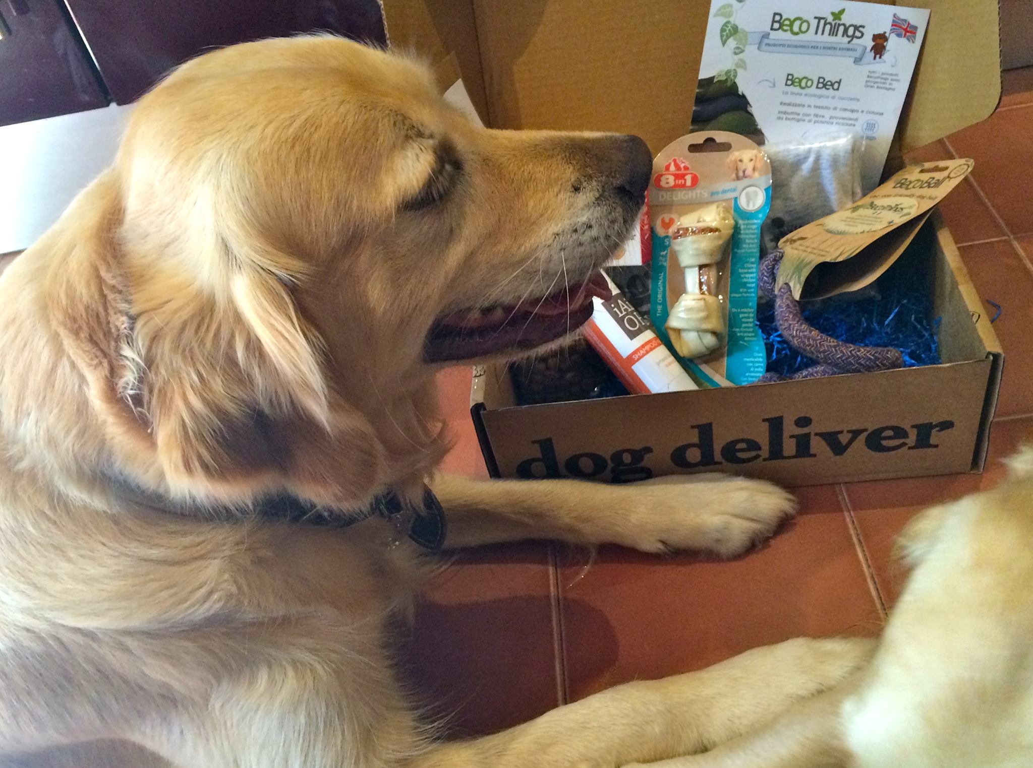 I quattrozampe e la loro Dogdeliver box di settembre