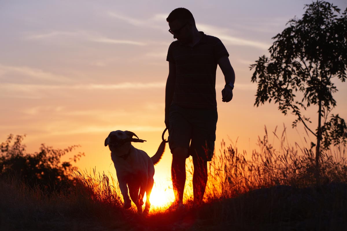 Gli 8 comandamenti del buon proprietario di cane