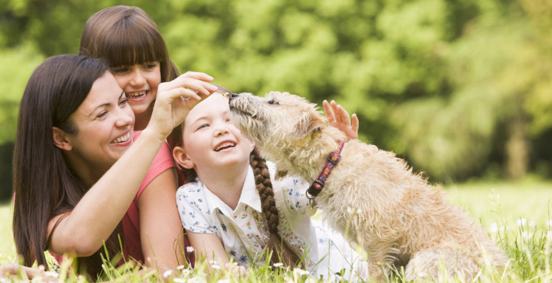 Voglio adottare un cane