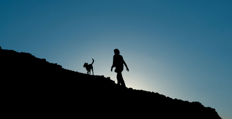 Passeggiata in montagna col cane: il kit per le emergenze