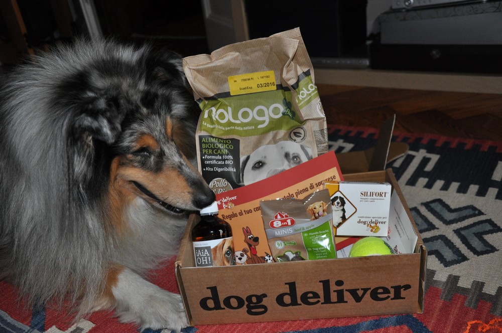 La Dogdeliver box di Novembre