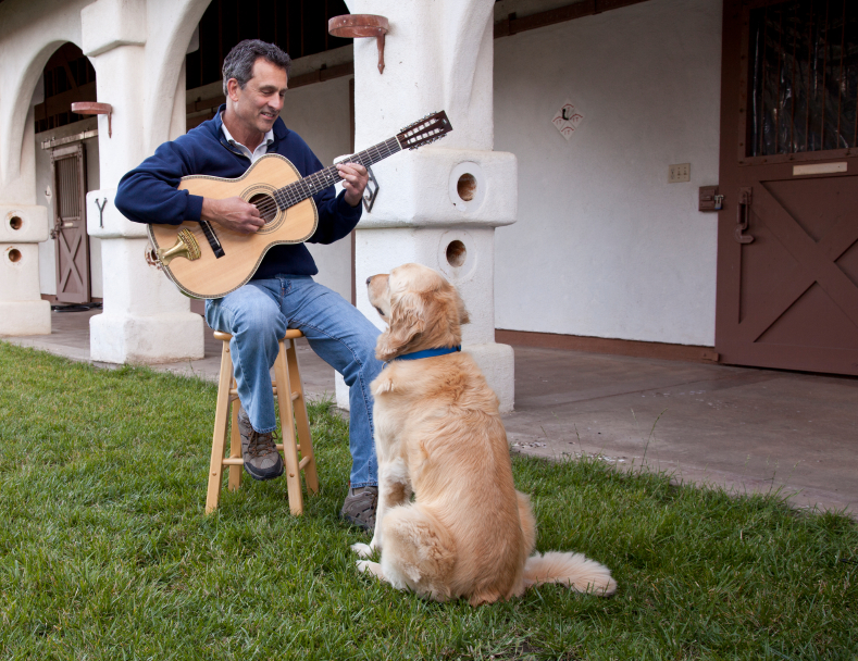 I cani e la musica