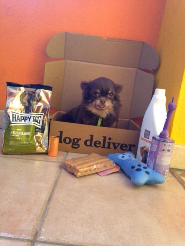 La Dogdeliver box di aprile!