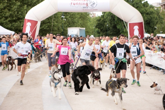 Dogdeliver all’Advantix Running del 17 maggio