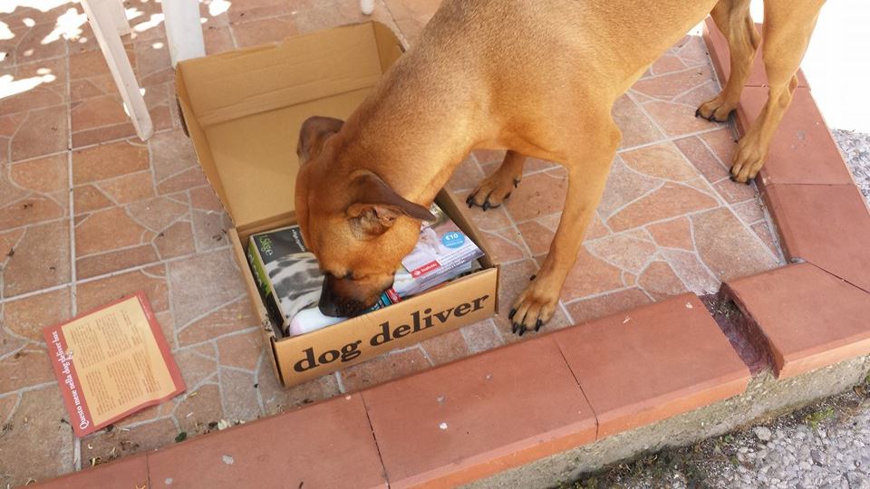La Dogdeliver box di maggio