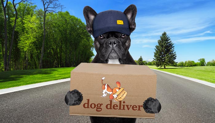 La consegna delle box Dogdeliver