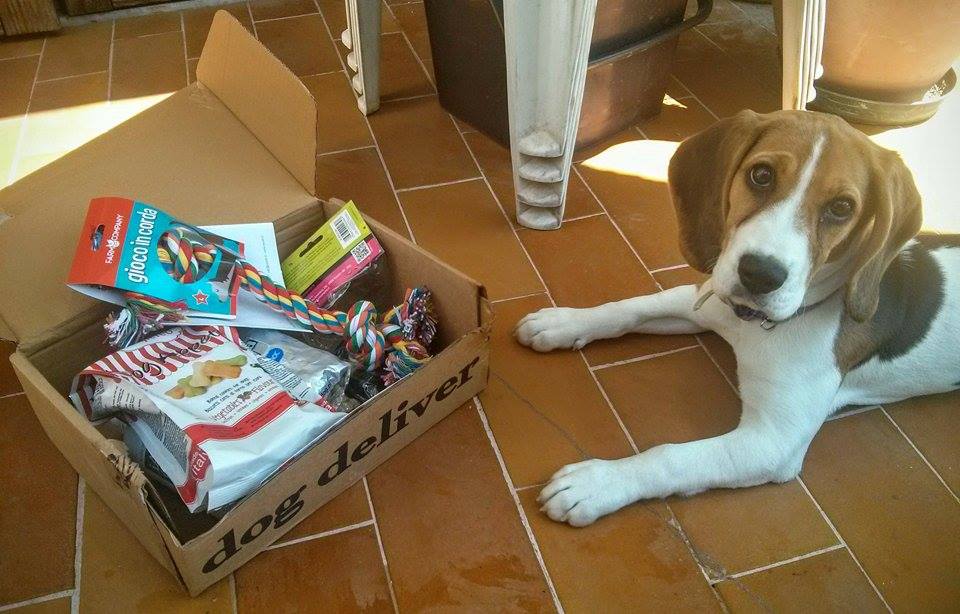 La Dogdeliver box di giugno