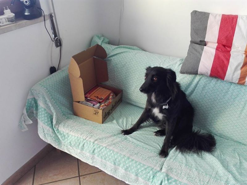 La Dogdeliver box di agosto