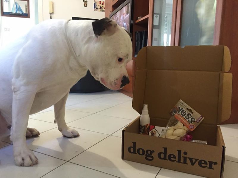 La Dogdeliver box di settembre