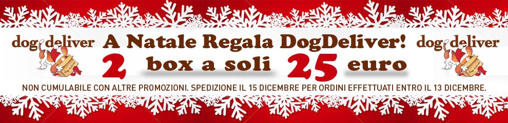 DOGXMAS_2015