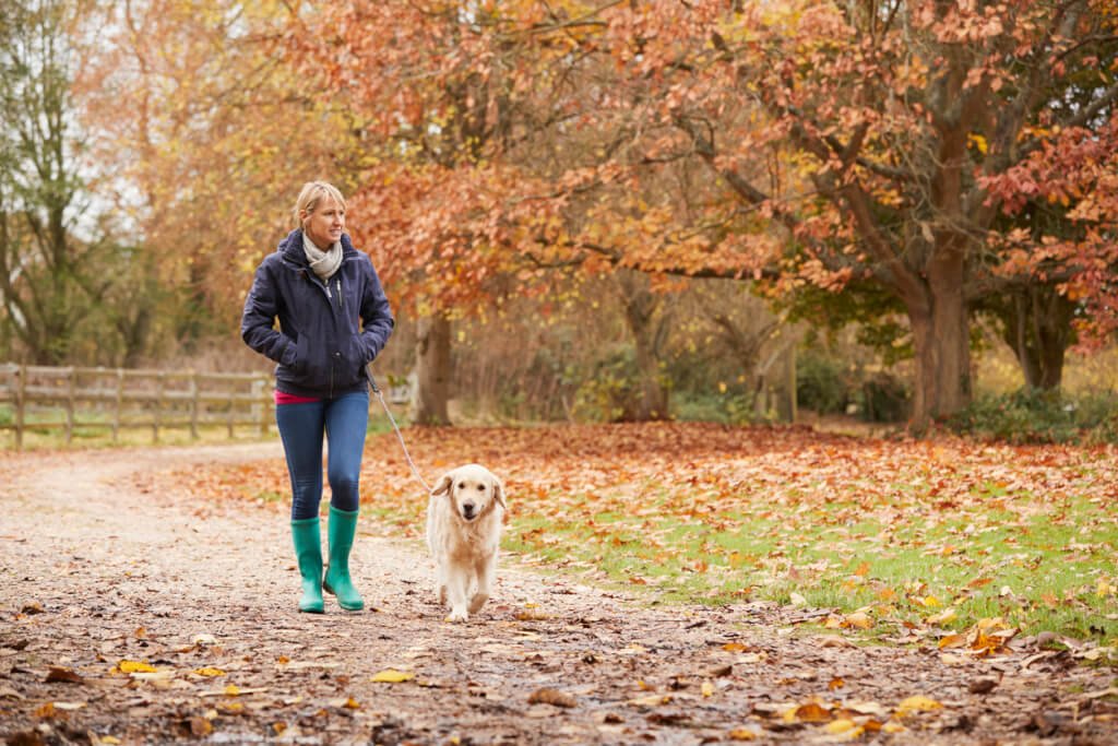 Le uscite con il cane: 5 cose utili da sapere