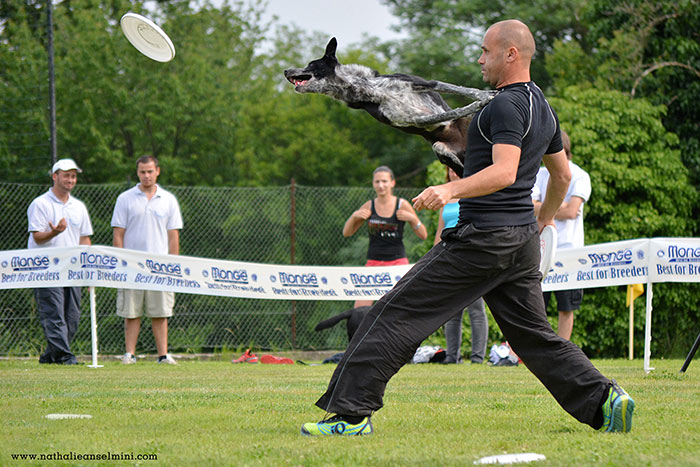 Disc Dog: intervista ad Adrian Stoica