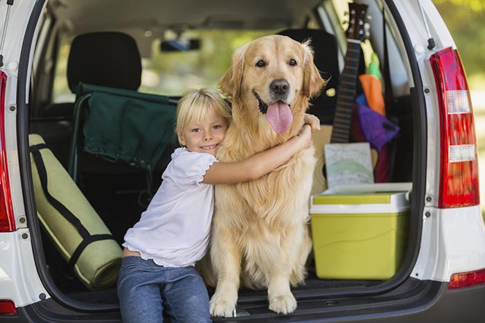 In vacanza con il cane