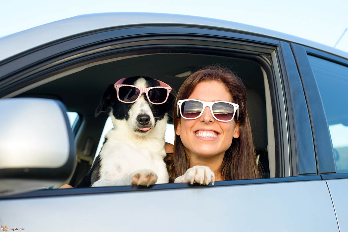 Con il cane si è più contenti