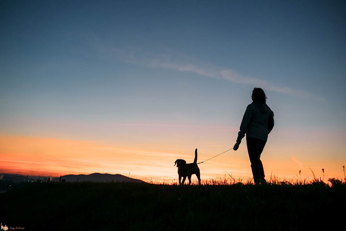 Camminare con il cane