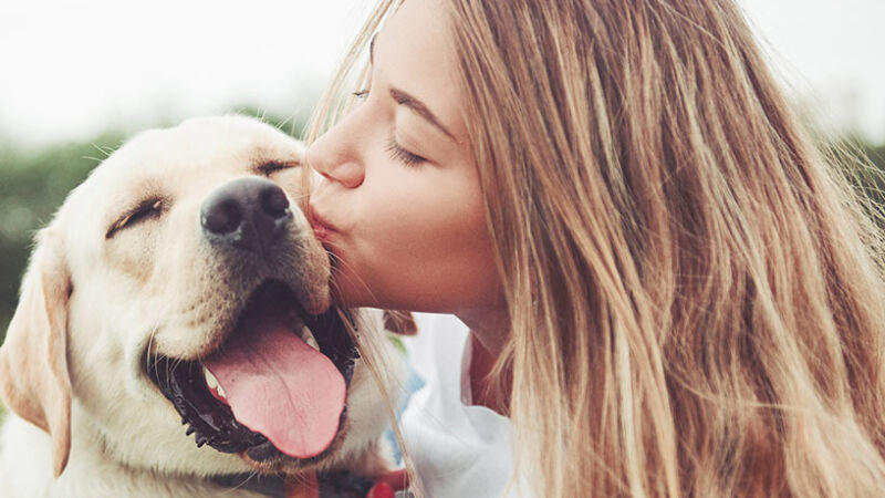 A te: dedica di un umano al suo Cane