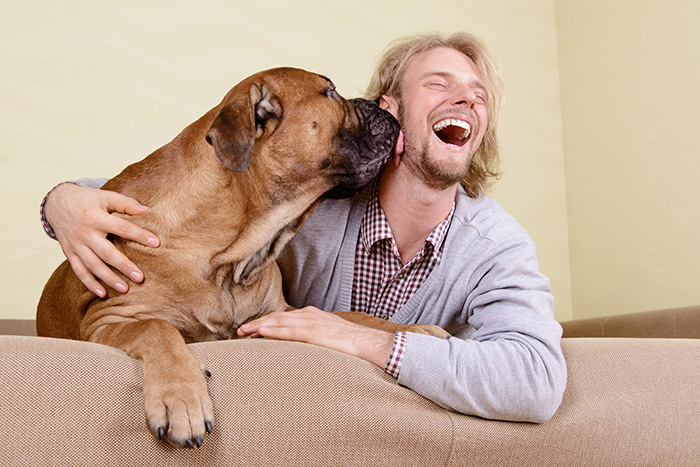 E’ pericoloso farsi leccare dal cane?