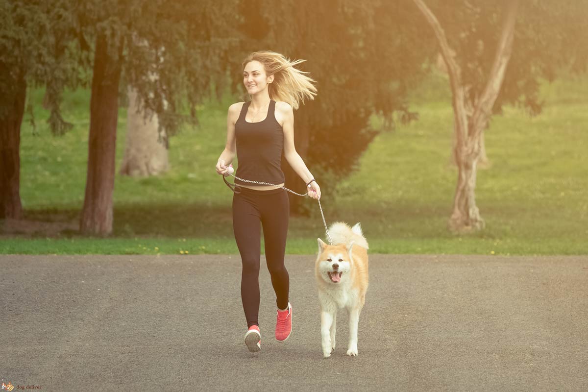 Correre con il cane