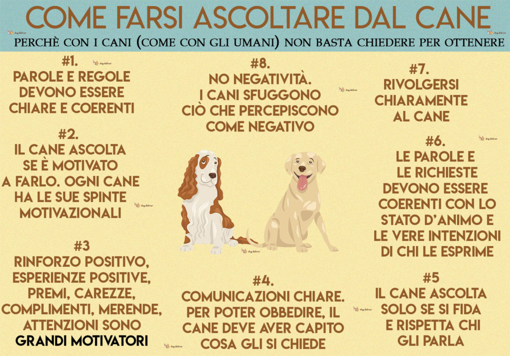 Come Farsi Obbidire Dal Cane Dogdeliver