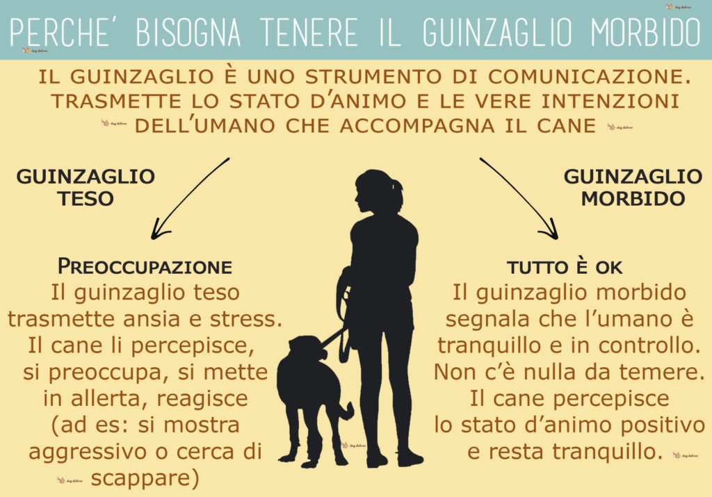 Nobby Guinzaglio Per Cani South Marrone, Diverse Taglie, NUOVO