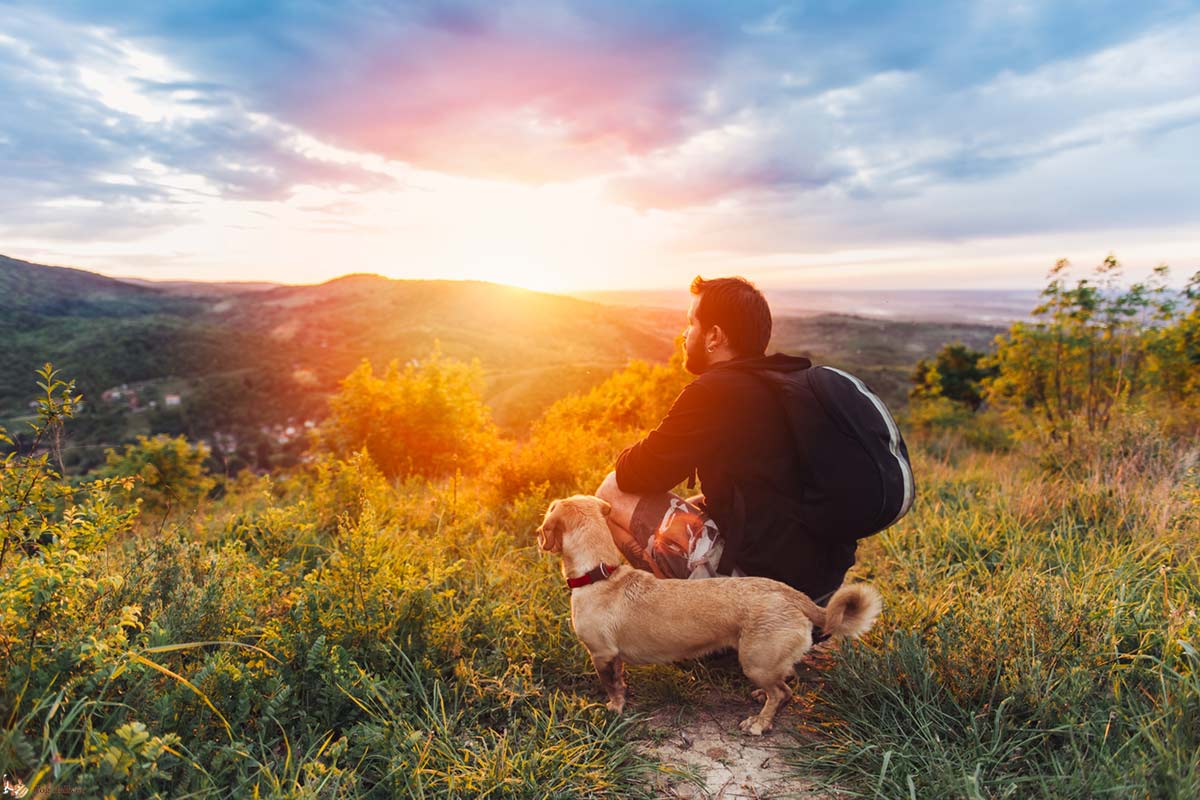 Perchè le uscite sono veramente importanti per i cani