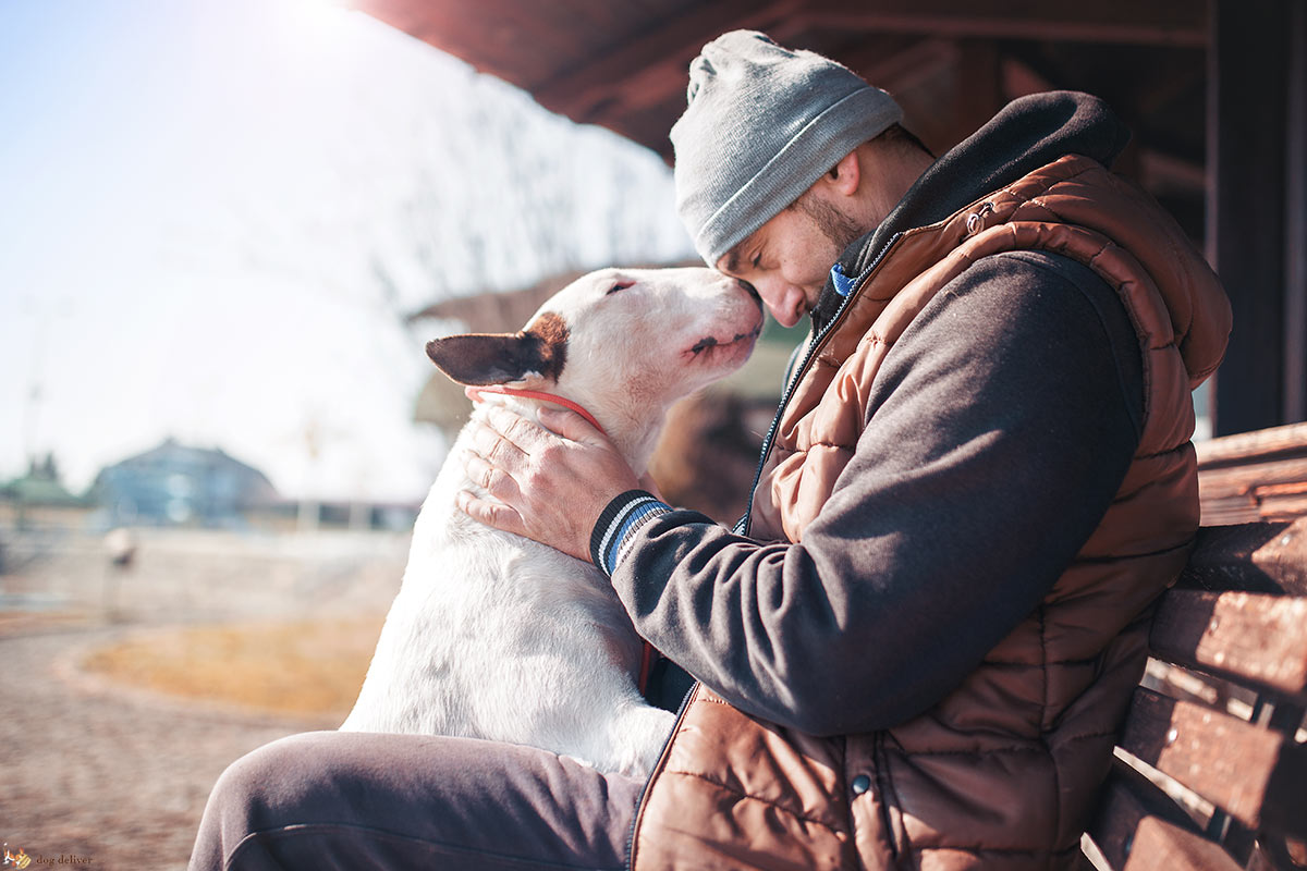 Degli umani e dei loro cani