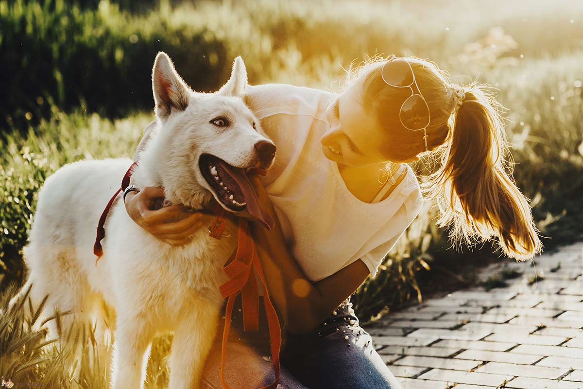 Quando il compagno è geloso del cane