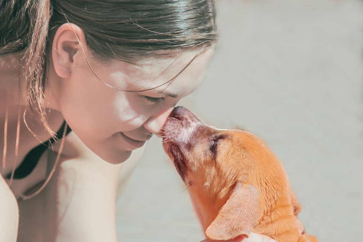 Gli umani, i cani e lo stress