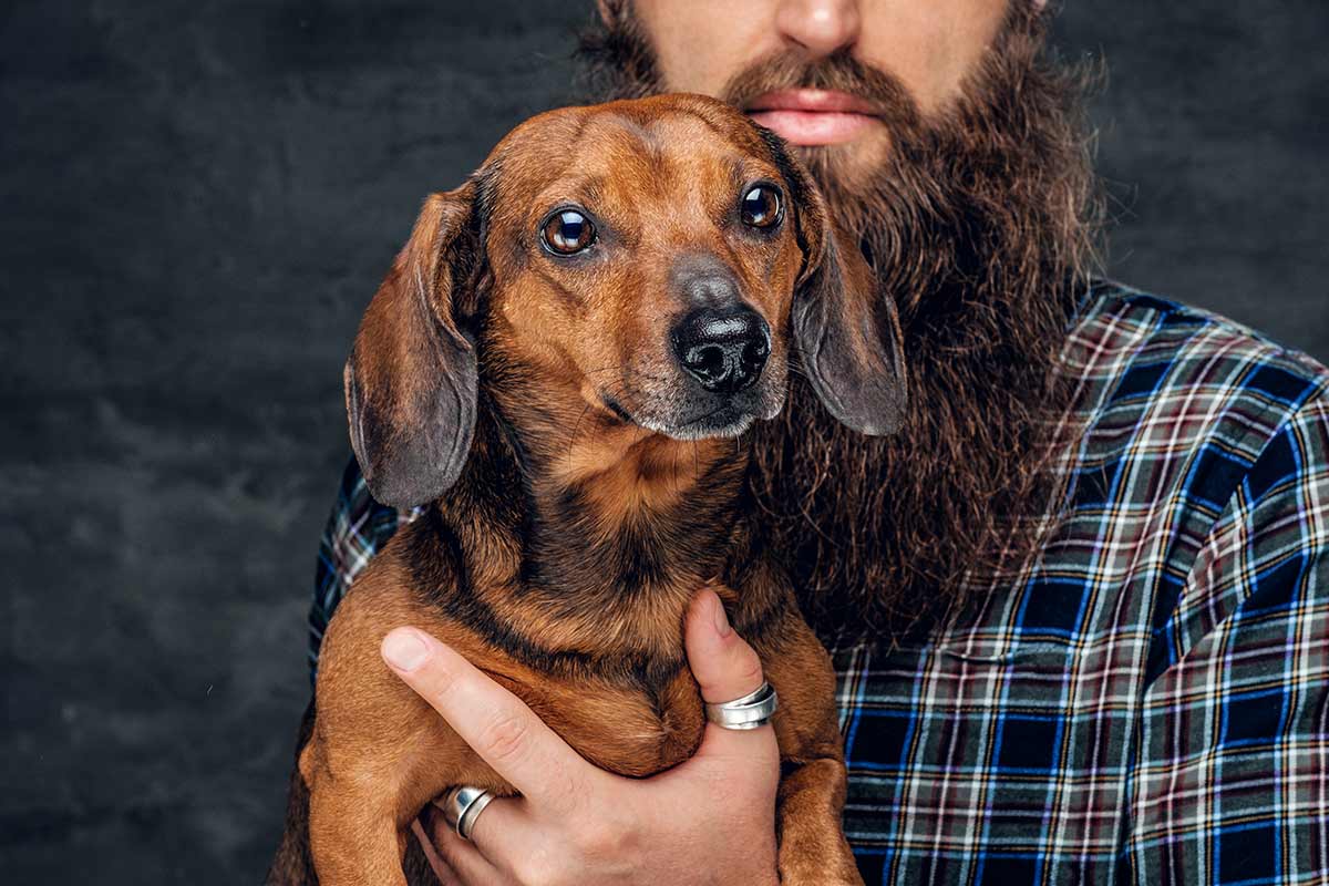 Il manto dei cani e la barba degli uomini