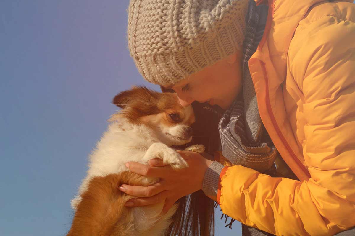 I cani conoscono e riconoscono le emozioni