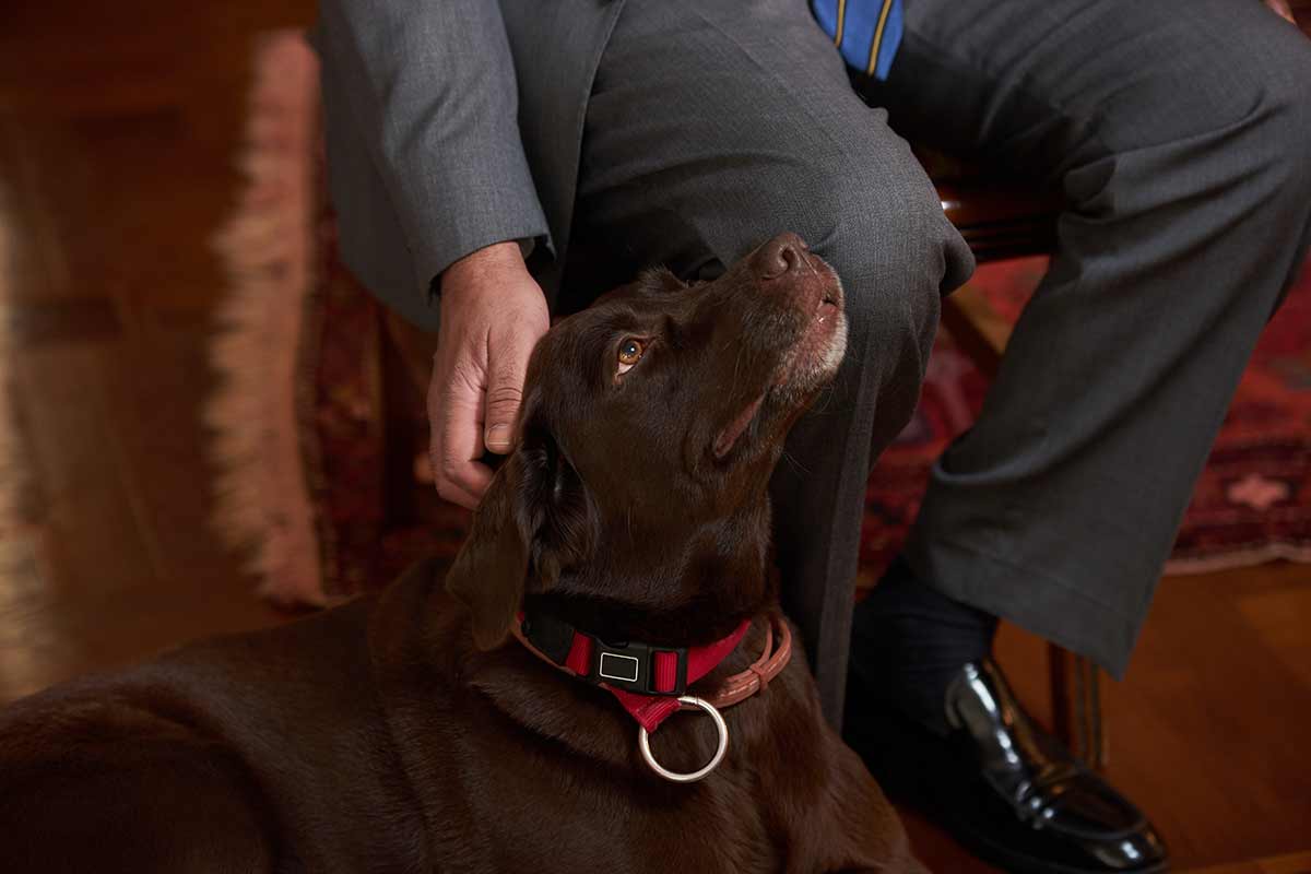 La straordinaria importanza degli umani per i cani