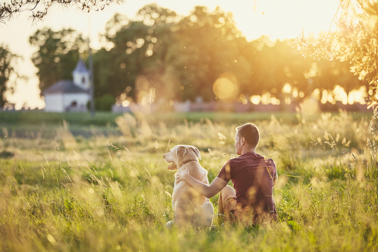 Il cane non può vivere in appartamento!