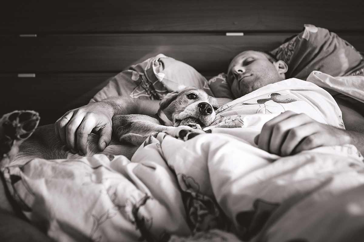 Perchè fa bene dormire con il cane sul letto