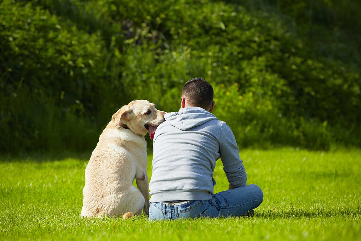 Cani: Cosa dovrebbero sapere i proprietari