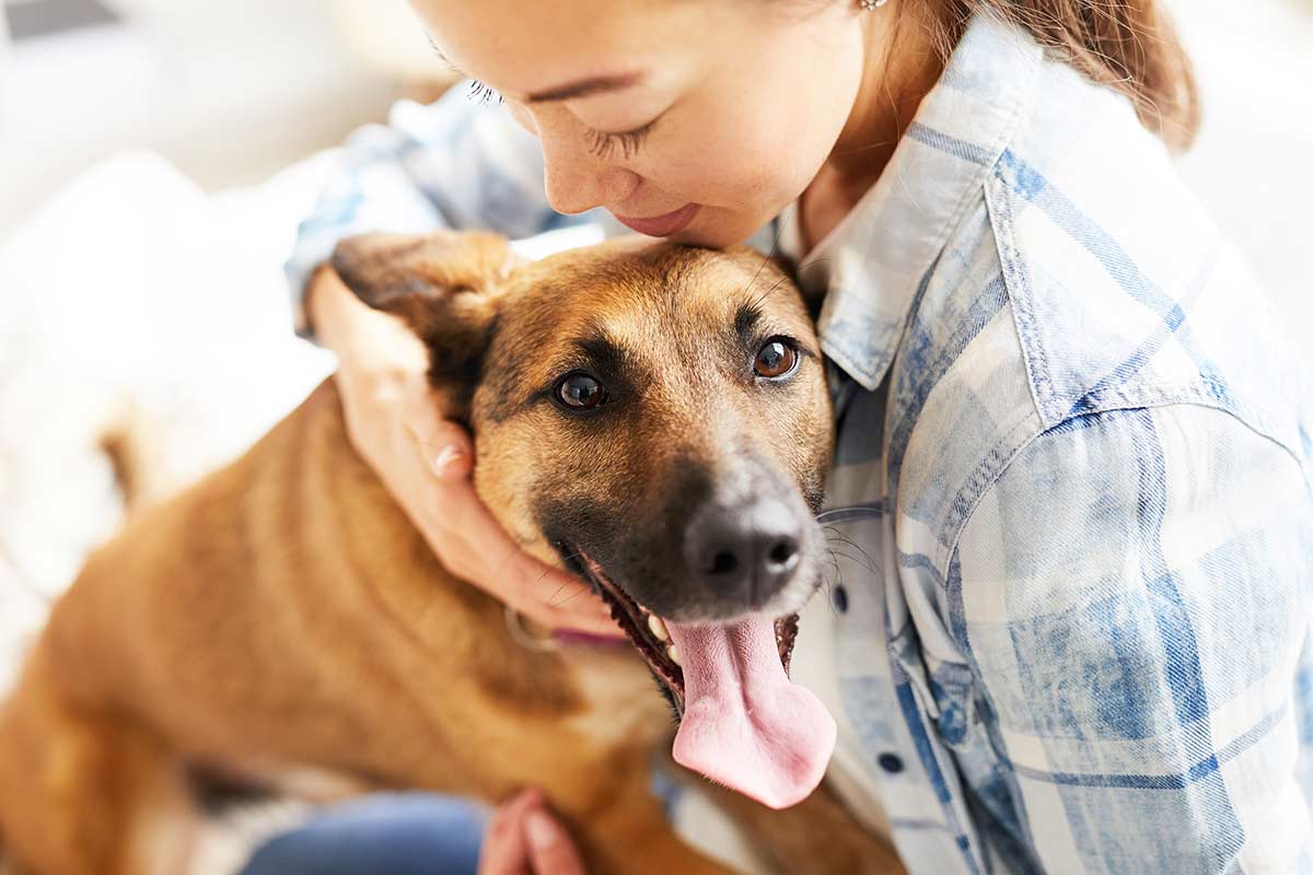 I cani al tempo del coronavirus