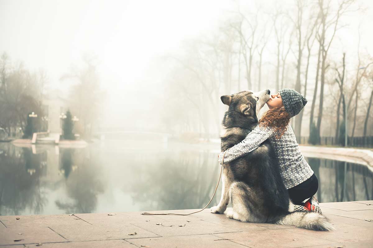 Come è forte l’affetto che lega i proprietari ai loro cani