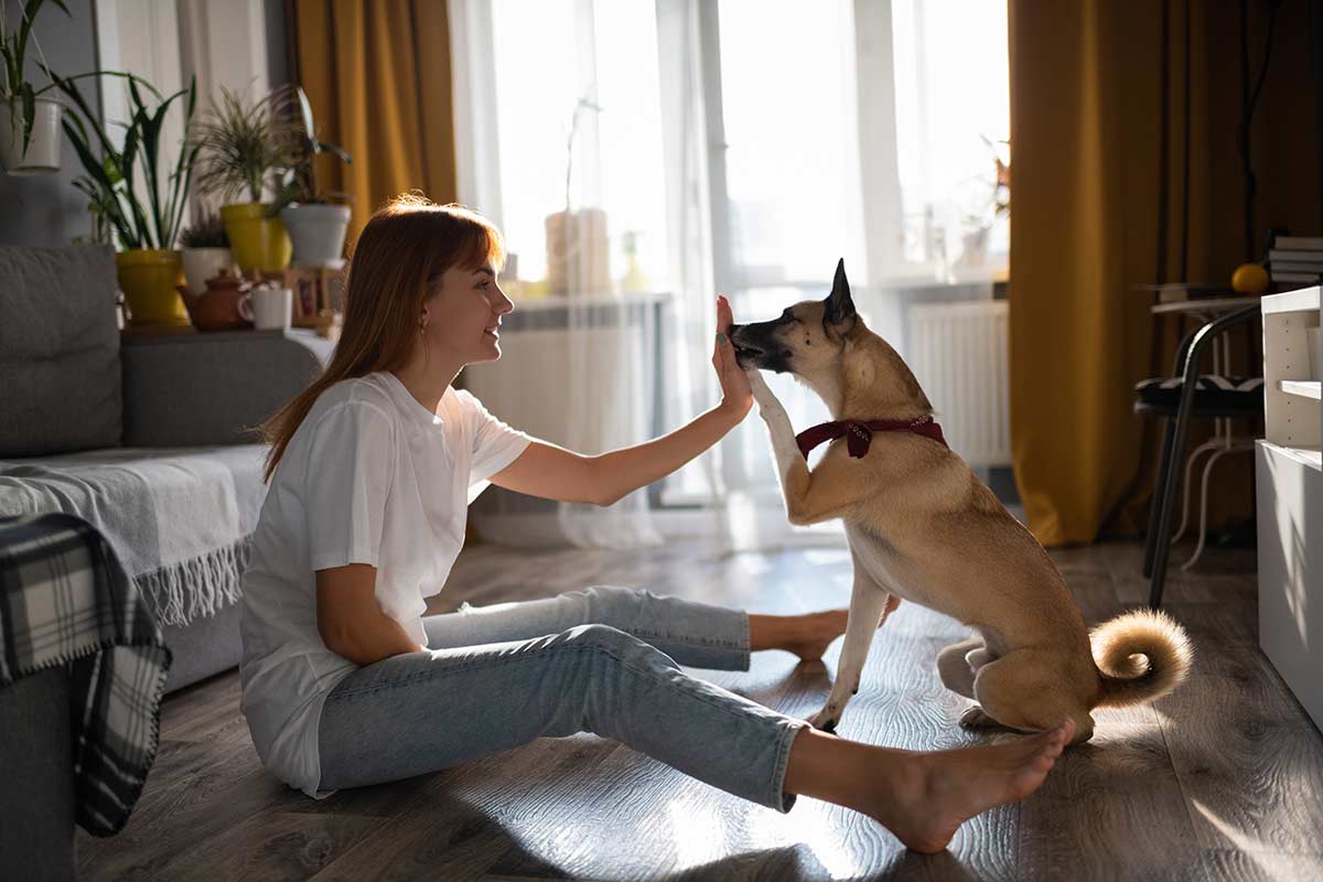 Convivere serenamente con il cane ai tempi del Coronavirus