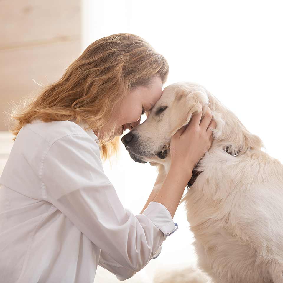 La natura affabile dei cani ha basi genetiche