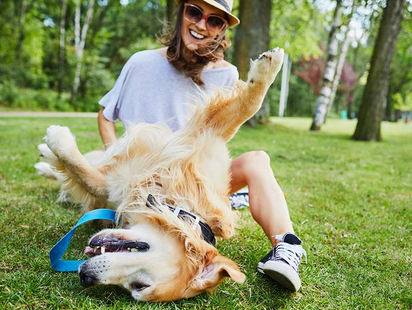 Il cane dominante è un falso mito o una realtà?