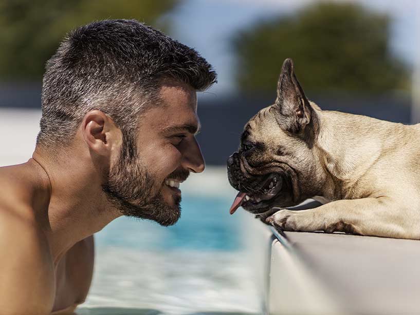 I cani comunicano con i proprietari in modo speciale