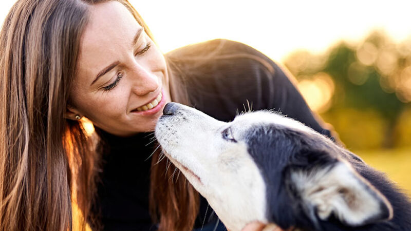 Sorpresa! I cani sanno che gli umani sono diversi da loro