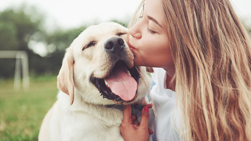 L’odore dei cani e la relazione con i proprietari