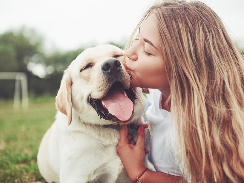 L’odore dei cani e la relazione con i proprietari