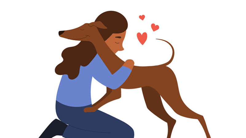 Perchè amare il cane fa bene anche agli umani